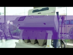 ARROZ DEL VERDE DE SF